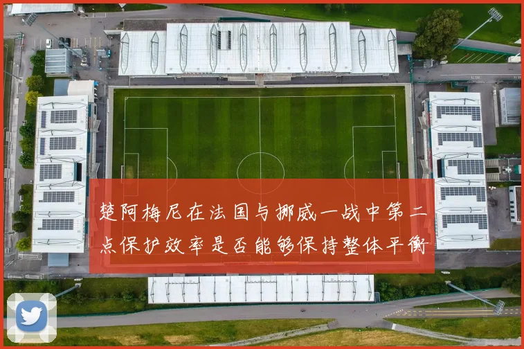 楚阿梅尼在法国与挪威一战中第二点保护效率是否能够保持整体平衡